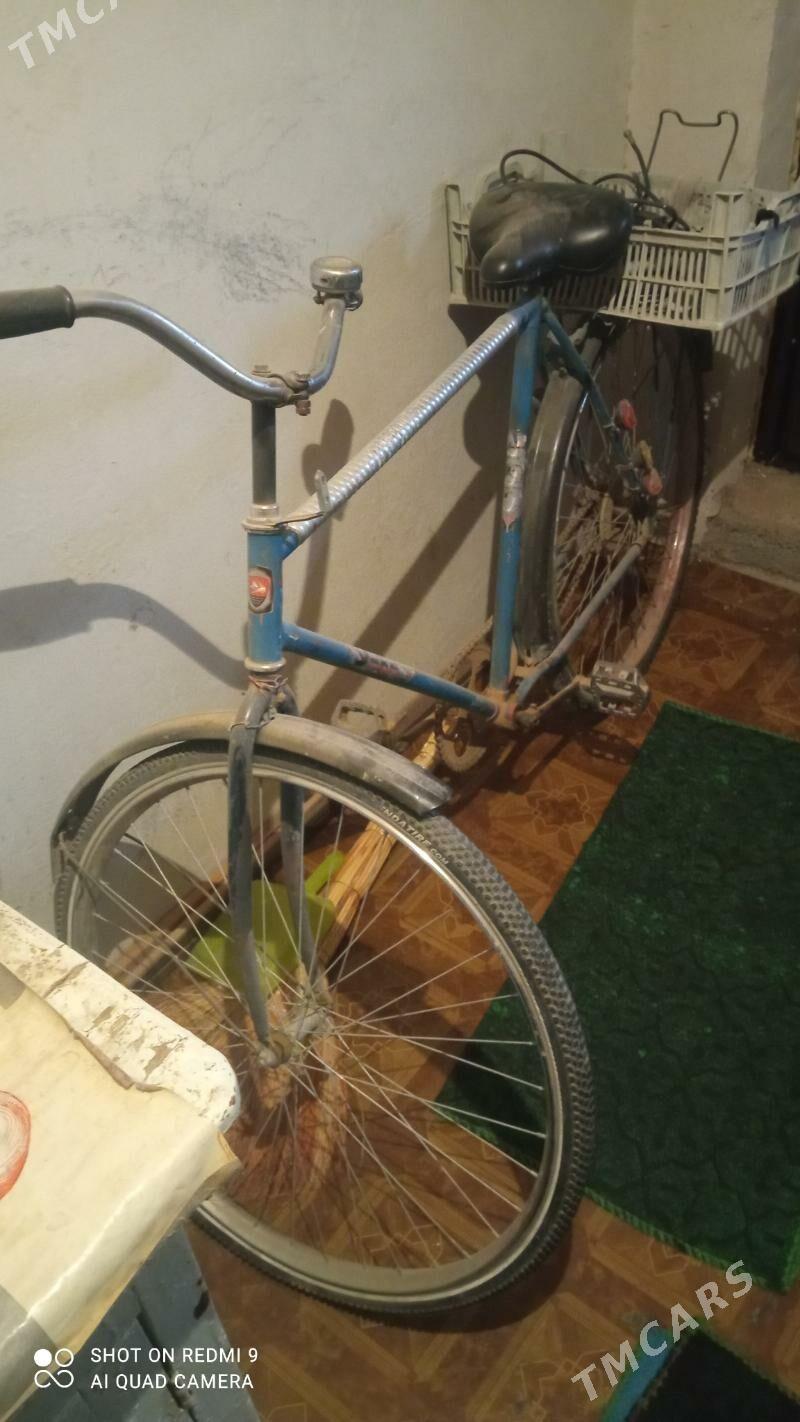 welik - Mary - img 1