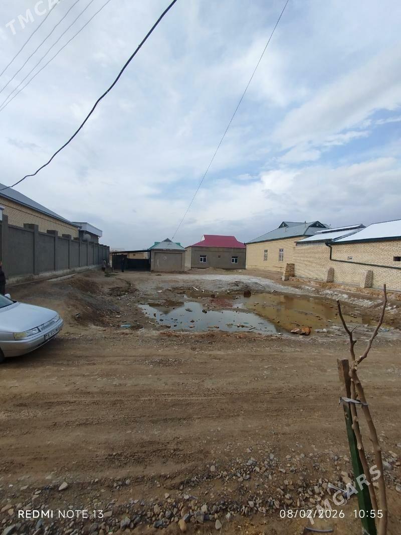 Satlyk jay PERENNDE - Mary - img 1