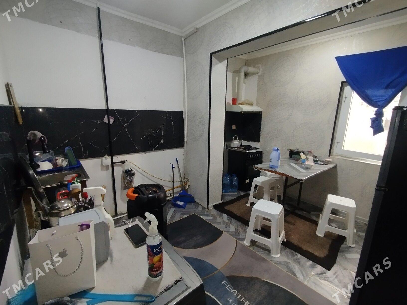 Satlyk jay - Mary - img 1