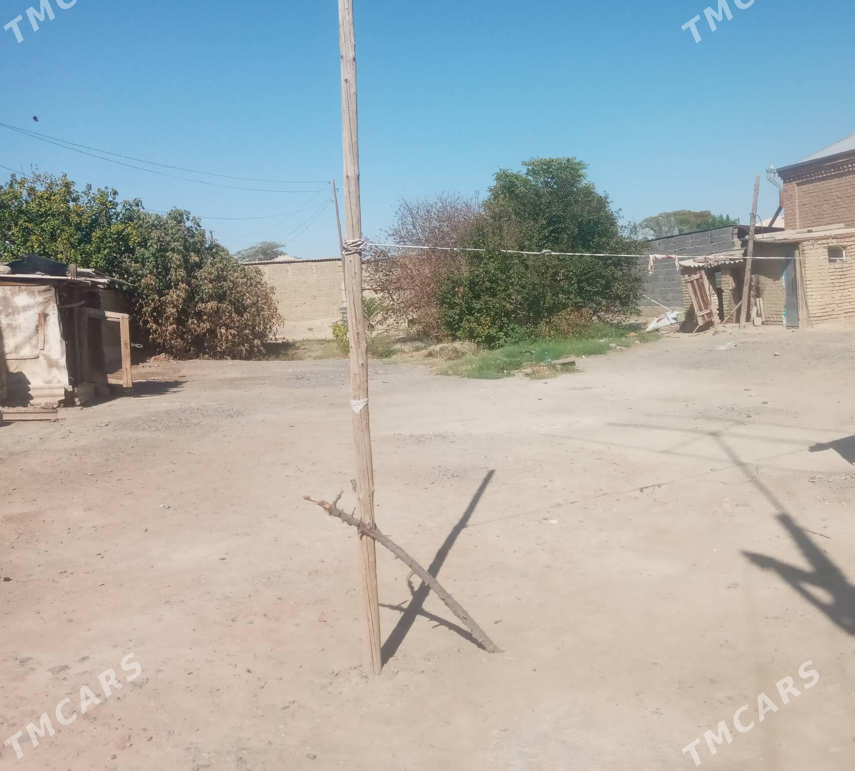 jaÿ bäherden - Бахарден - img 1