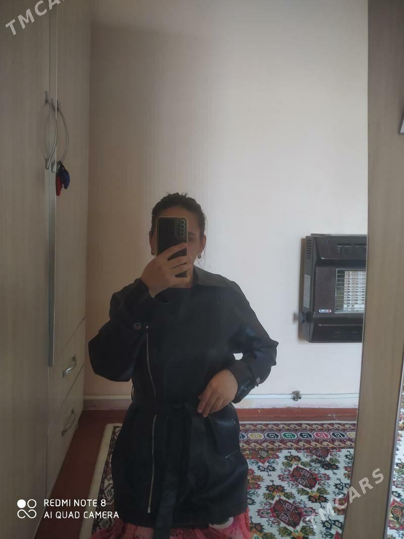 koza - Джебел - img 1