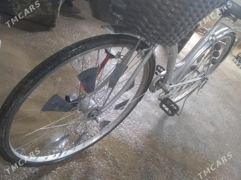 welsapet tigir - Мары - img 1