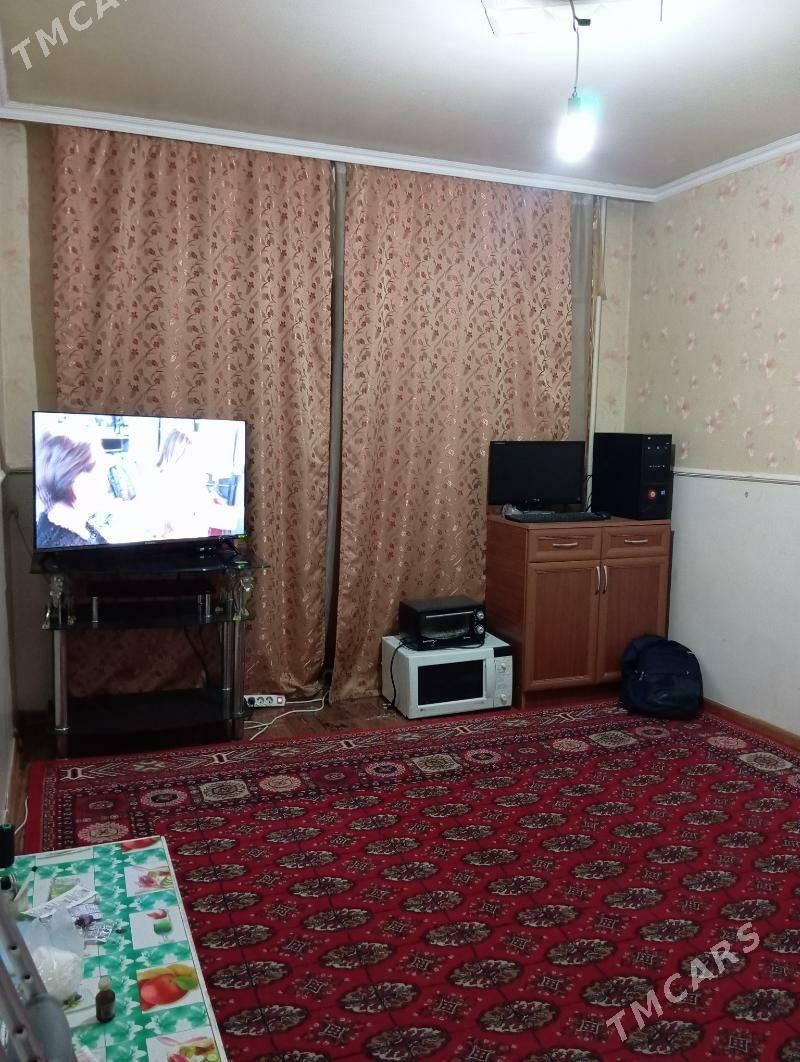 Satlyk jay - Мары - img 1