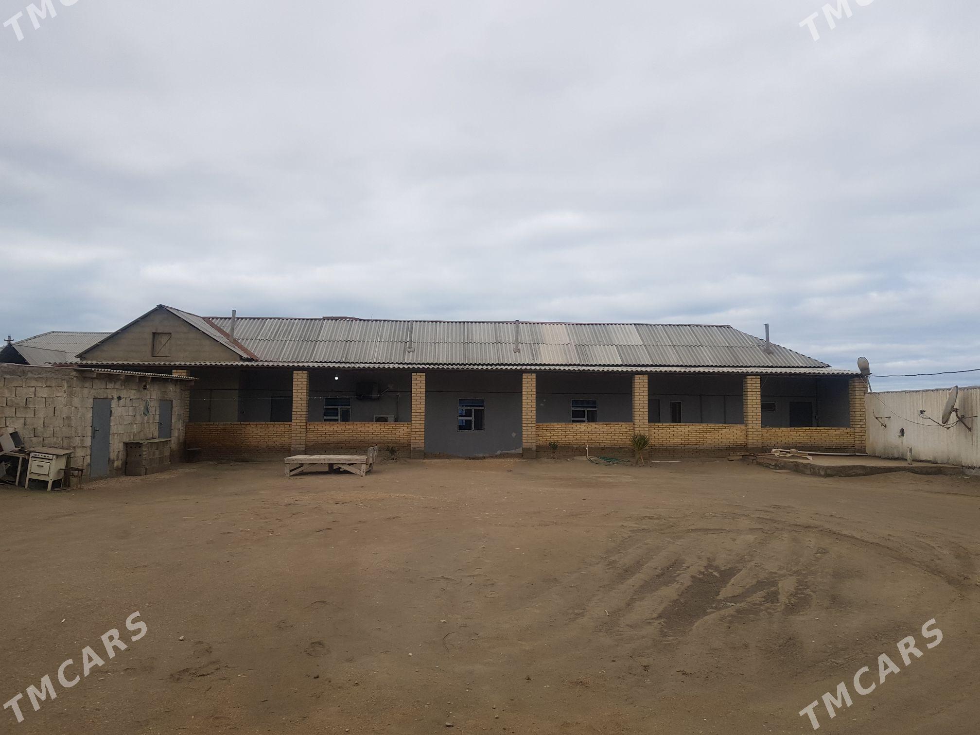 satlyk jay - Хазар - img 1