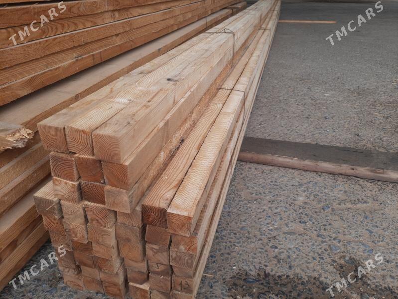 ağaç reyke - Mary - img 1