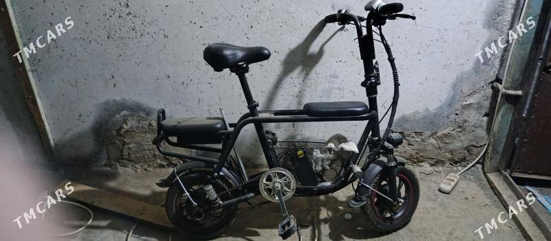 tokly tigir - Гаудан "В" - img 1