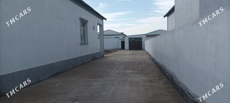 30 yylyk jay - Daşoguz - img 1