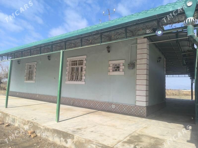 учаска - Daşoguz - img 1