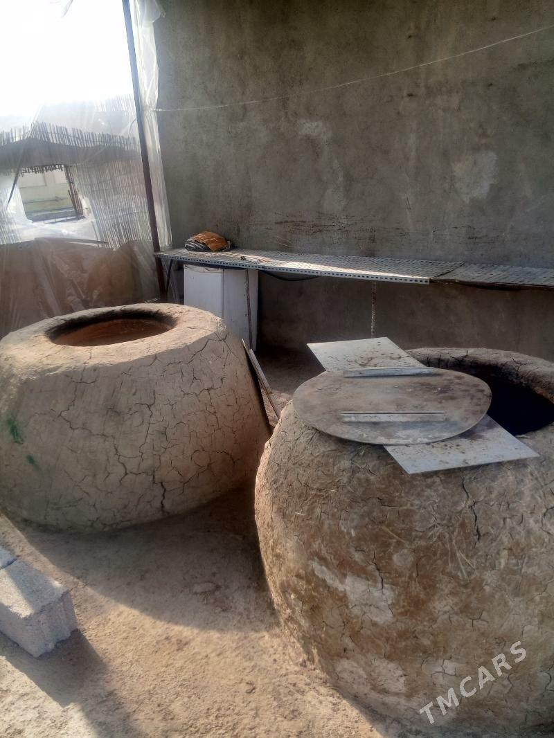 tamdyr - Büzmeýin - img 1