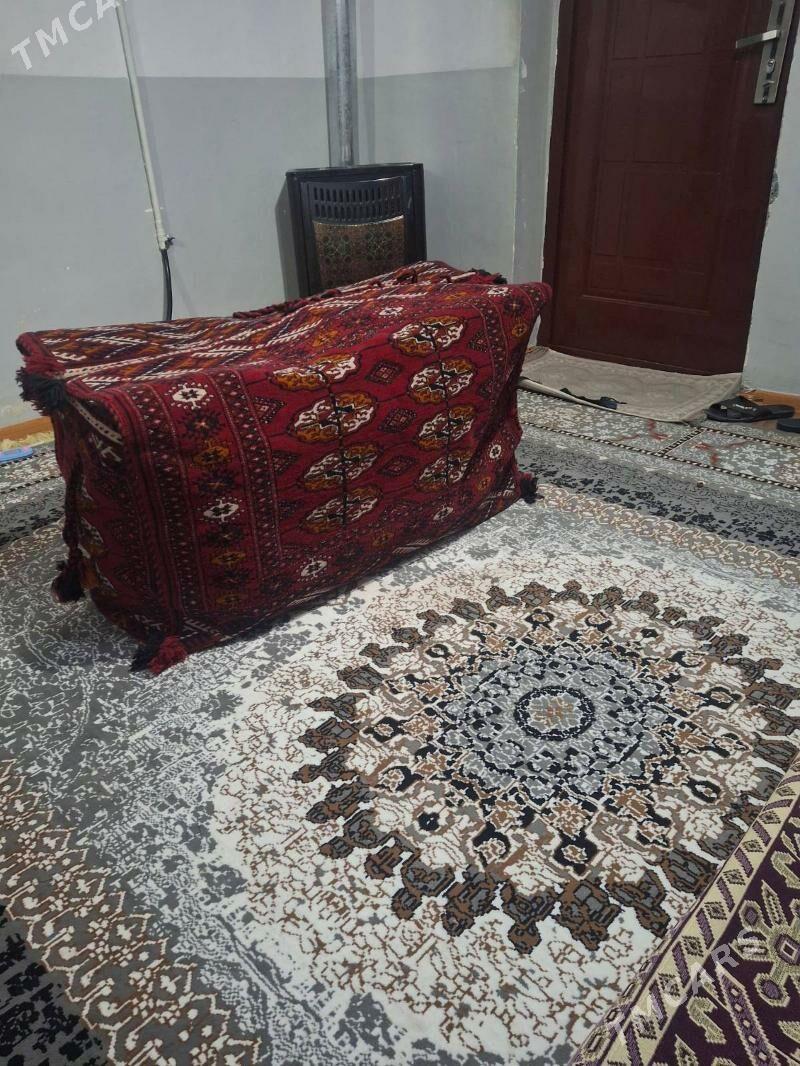 haly horjun - Köşi - img 1