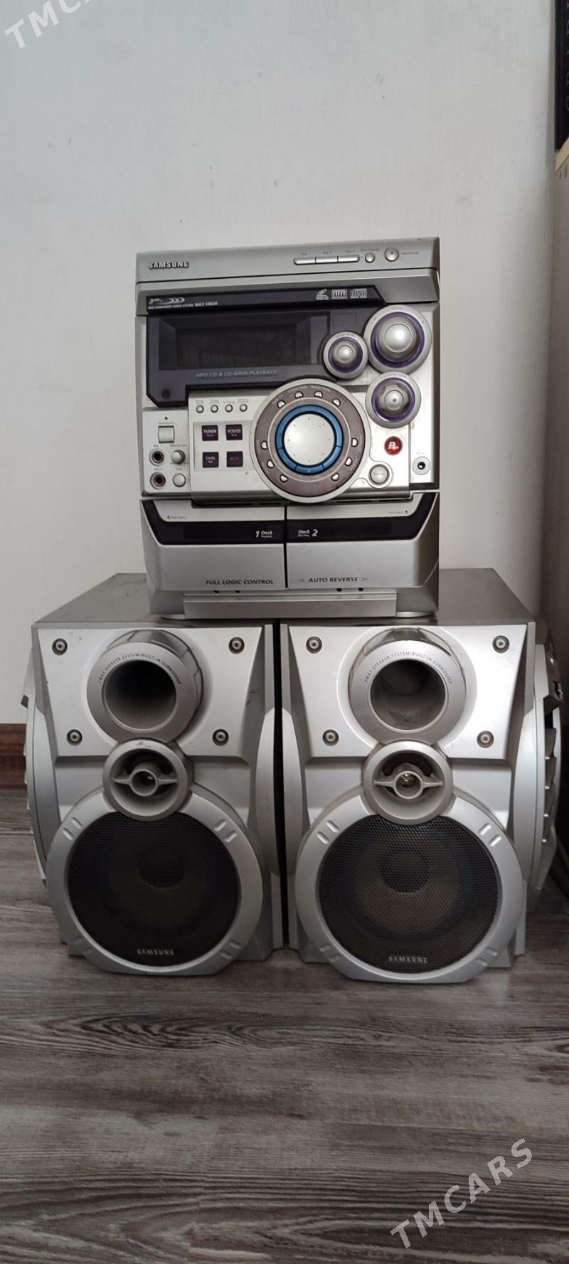 Muz senter - Койтендаг - img 1