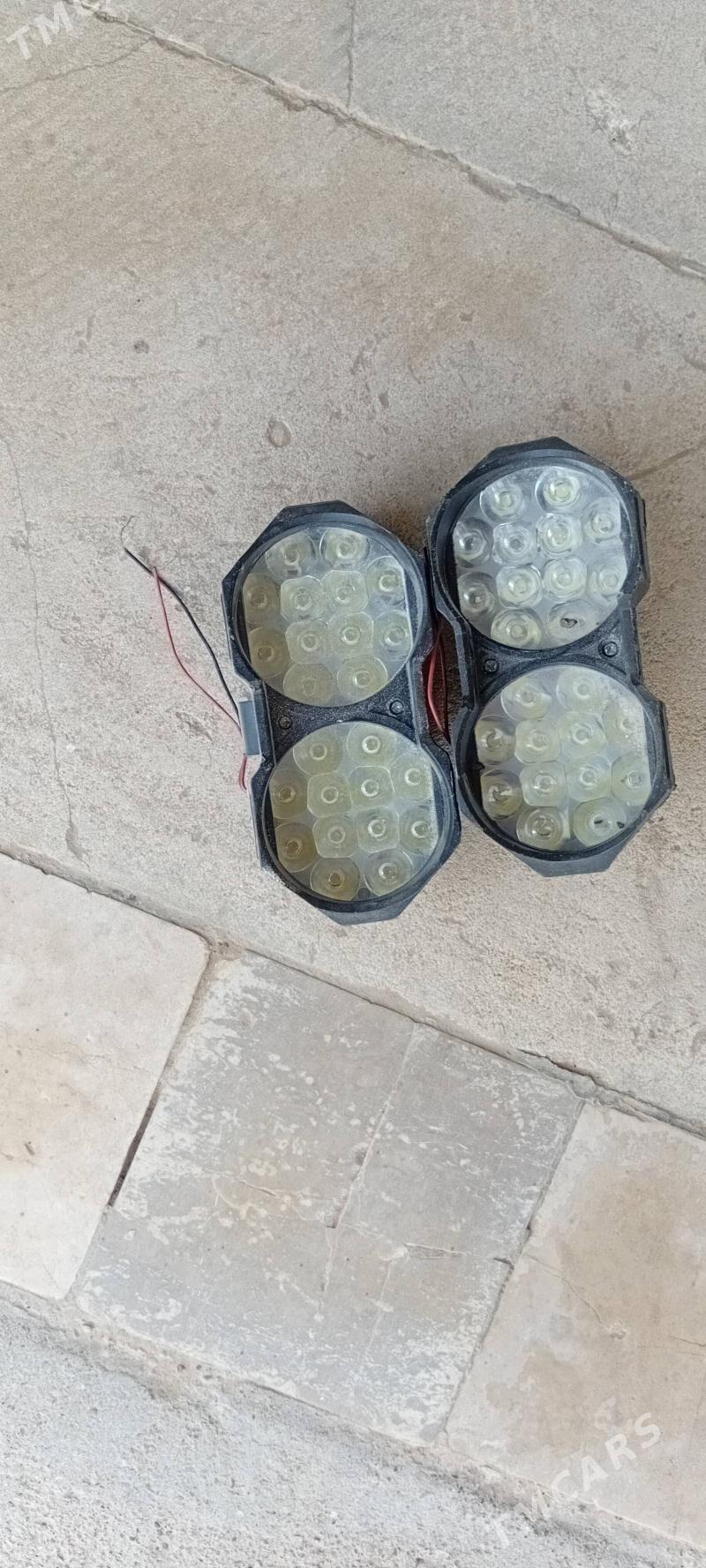 welik - Mary - img 1