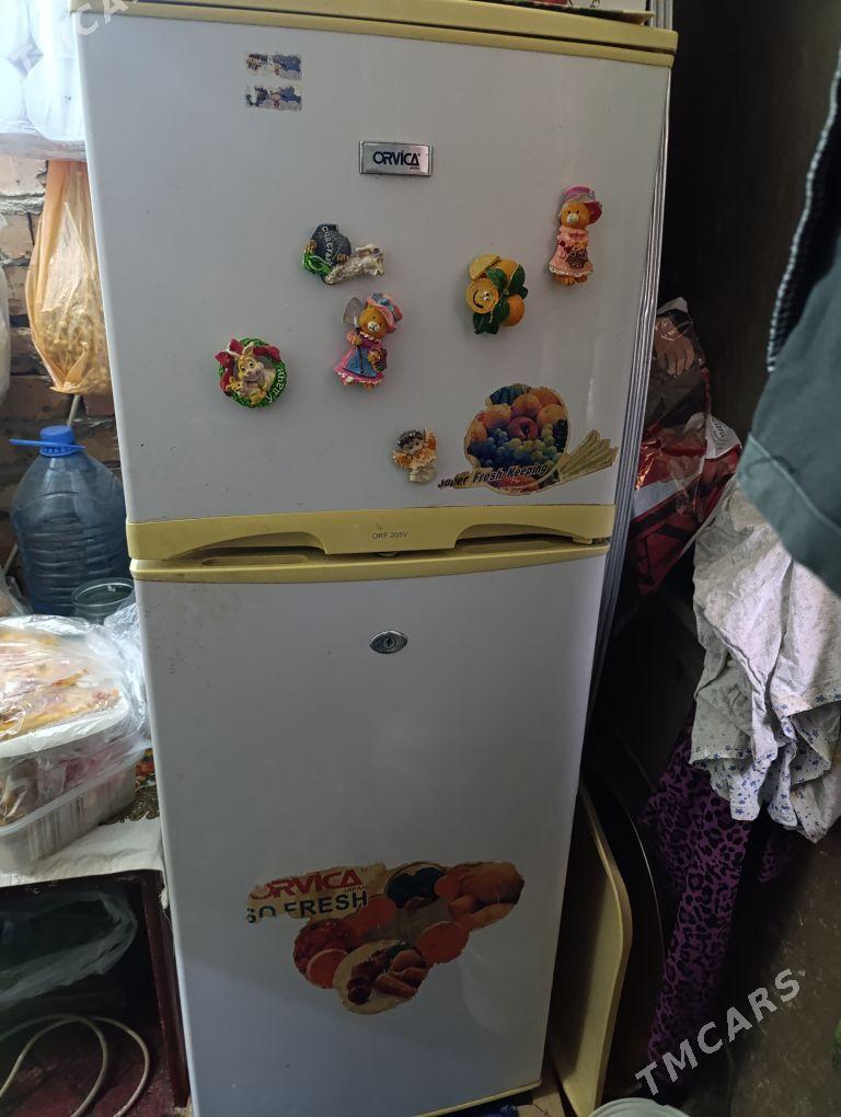 Holodilnik - Mary - img 1