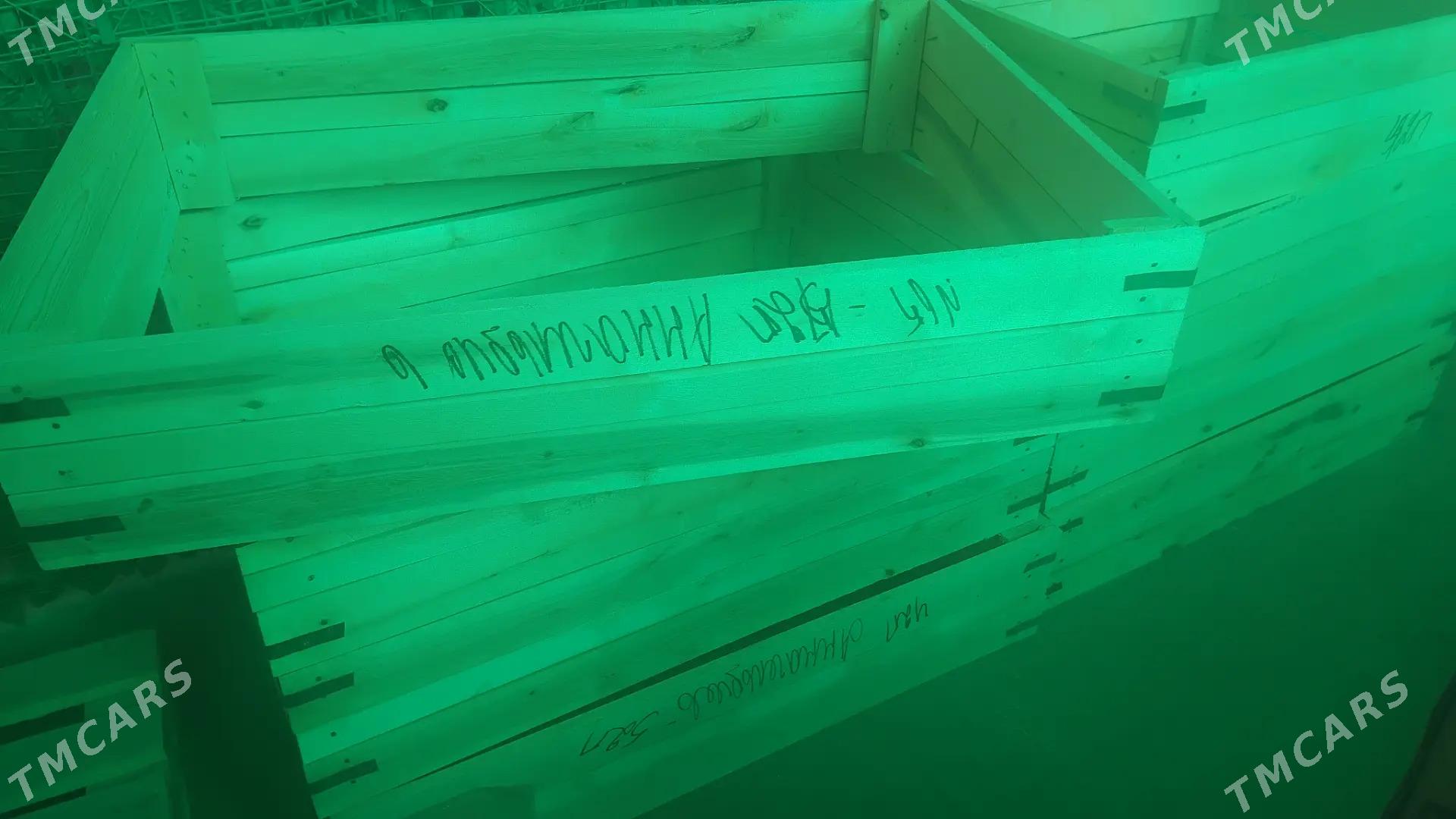 Arassa ýaşşik - Çoganly - img 1