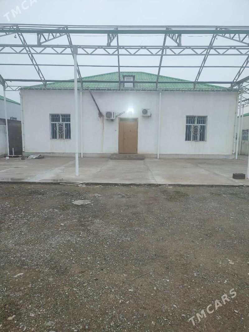 murce elitga - Bäherden - img 1