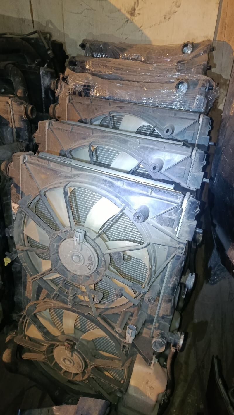 radyatyr 1 000 TMT - Бедев - img 1