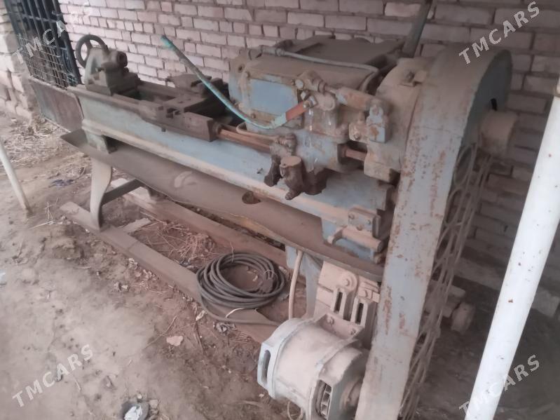 Tokur sydanok - Tejen - img 1