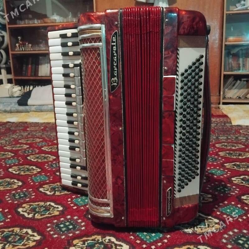 Akkordeon-Barcarolla - Кака - img 1