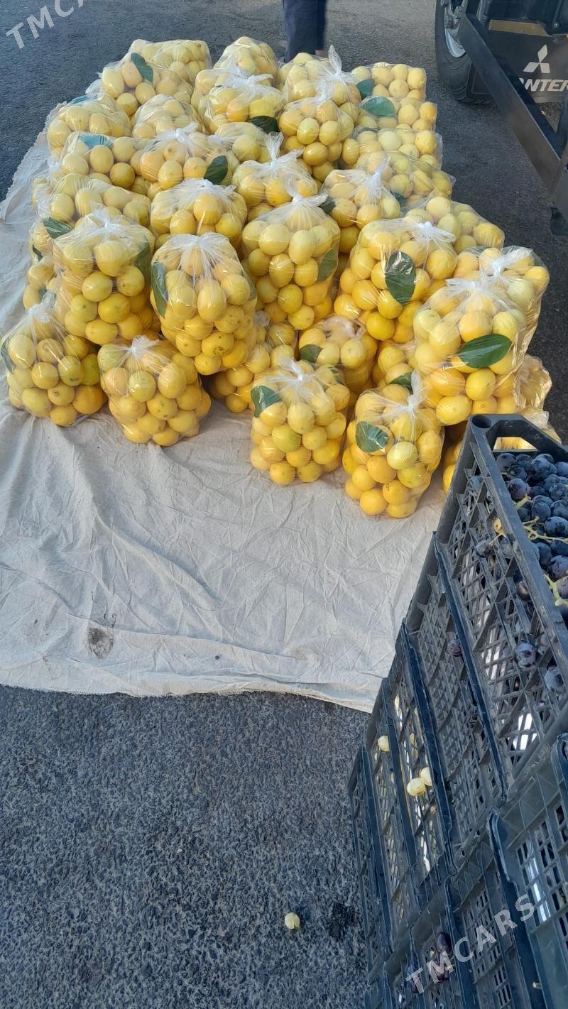 Limon şitil - Gökdepe - img 1