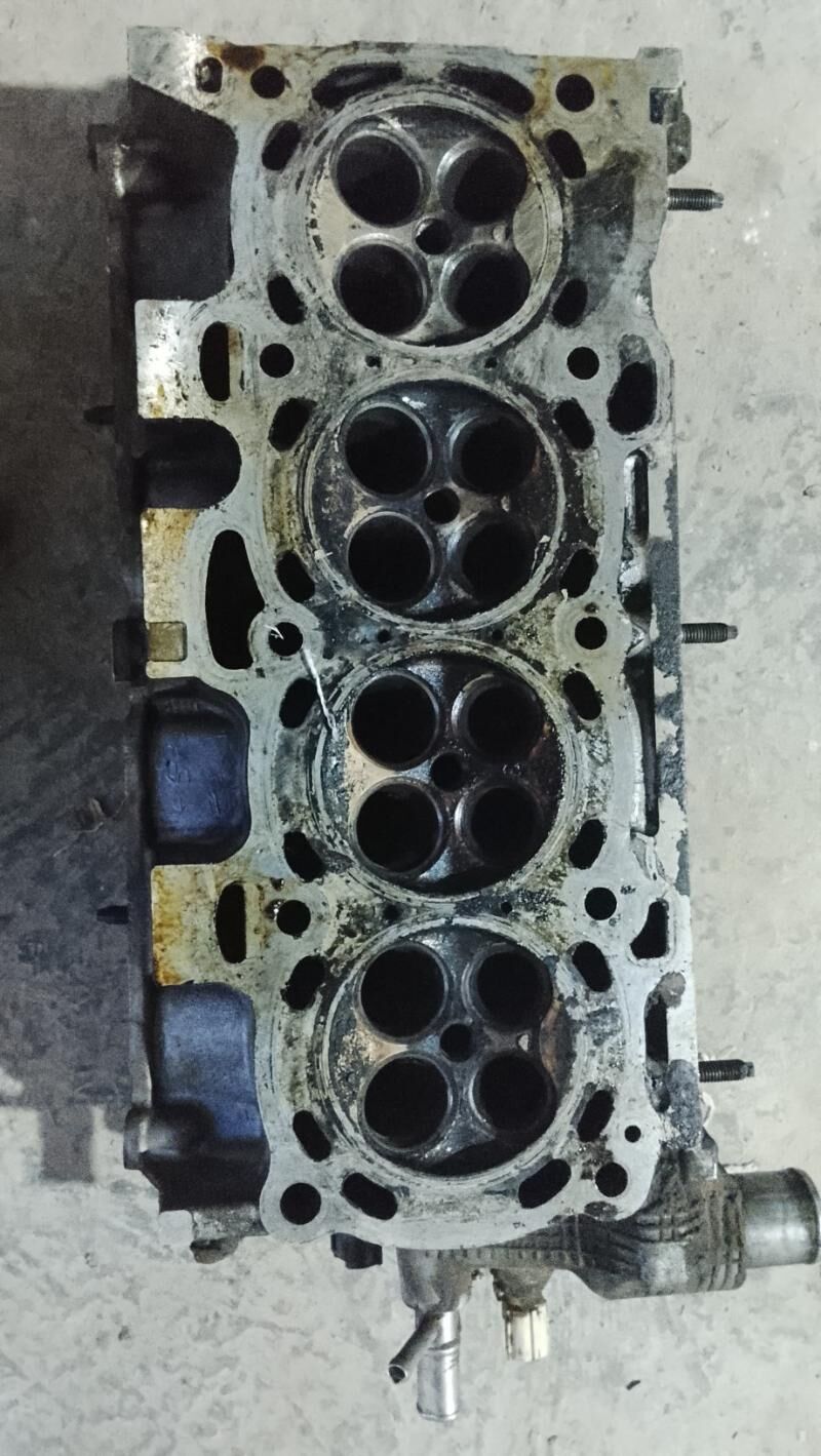 galowka 2.4 okuz kelle 800 TMT - Gökdepe - img 1