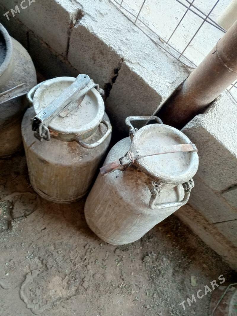 alumin pilyak - Бузмеин - img 1