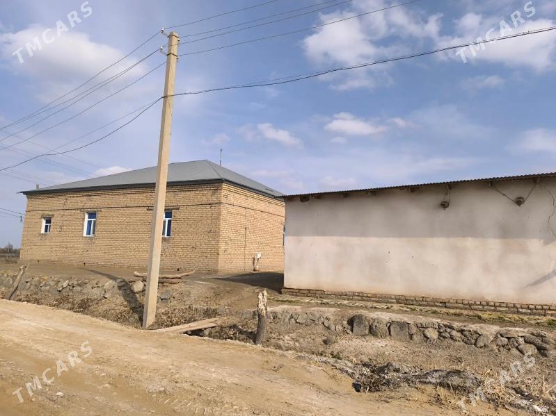 satlyk jay - Гороглы (Тагта) - img 1