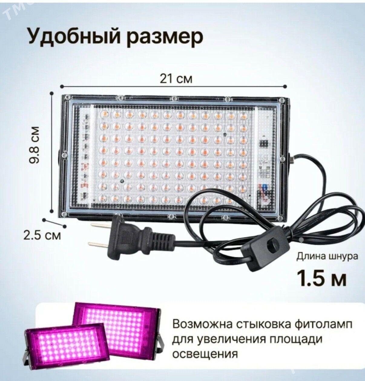 Фитолампа - Aşgabat - img 1