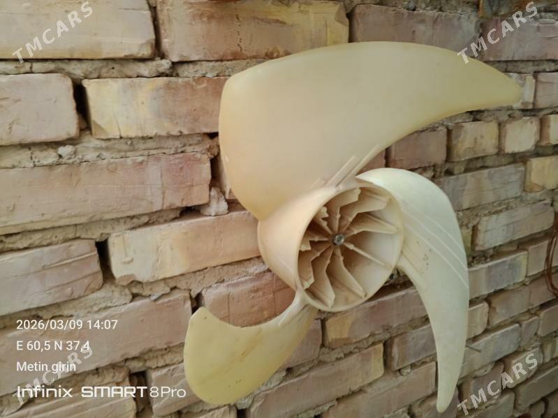 kansaner lopus - Tejen - img 1