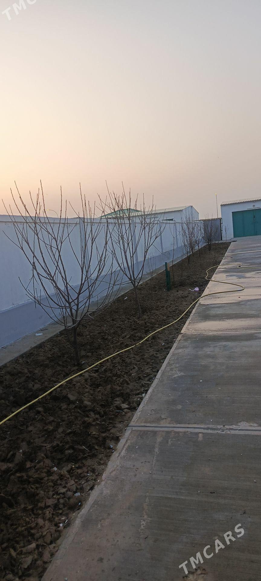 nurly zaman bagtyýar ýaslar - Гёкдепе - img 1