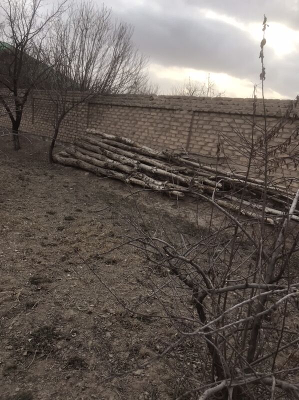 Стройматериал - Шабатский этрап - img 1