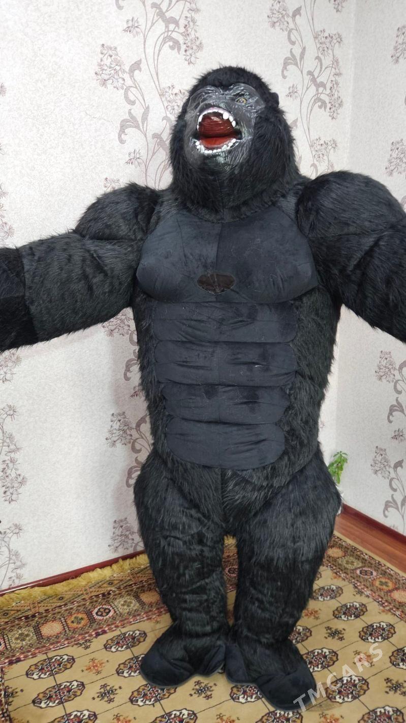 Miska garilla - Туркменабат - img 1