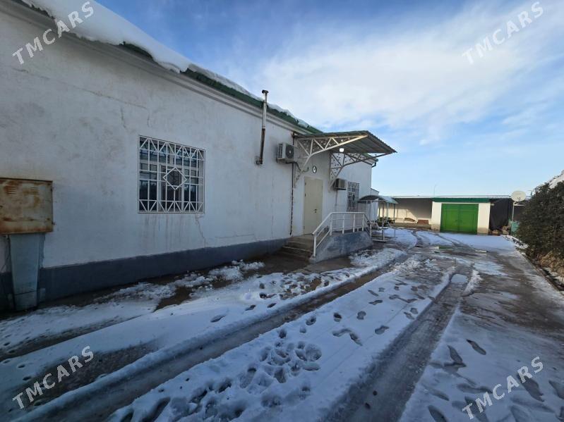 BEREKETLi ZAMAN - Анев - img 1