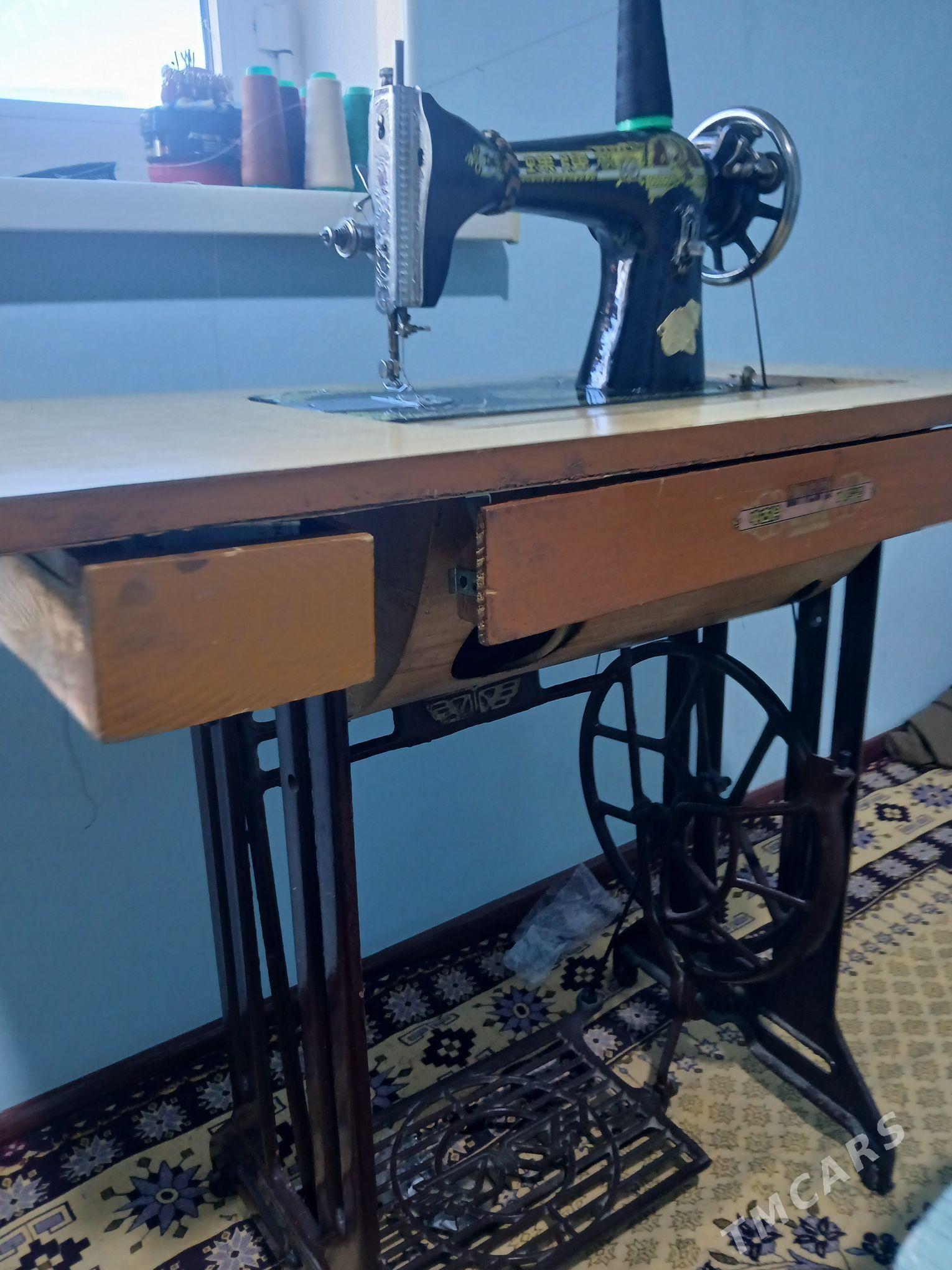 dikin maṣṣyn - Gumdag - img 1