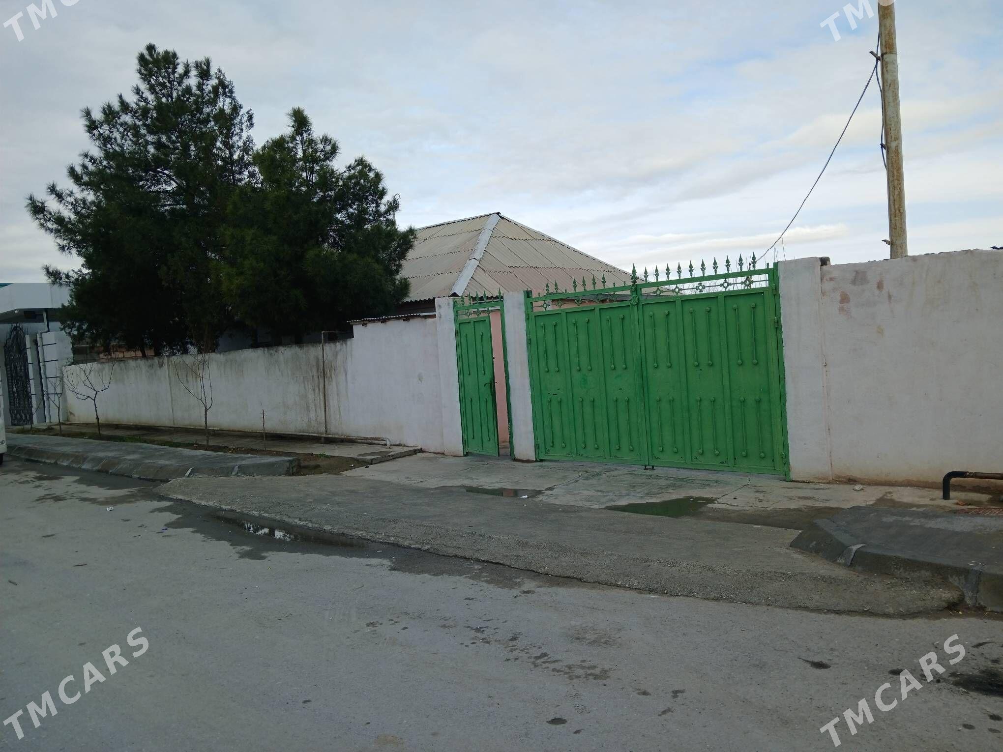 Anew satlyk pylan jay yer - Анев - img 1