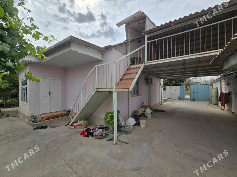 ÀNEW 10SOTOK - Änew - img 1