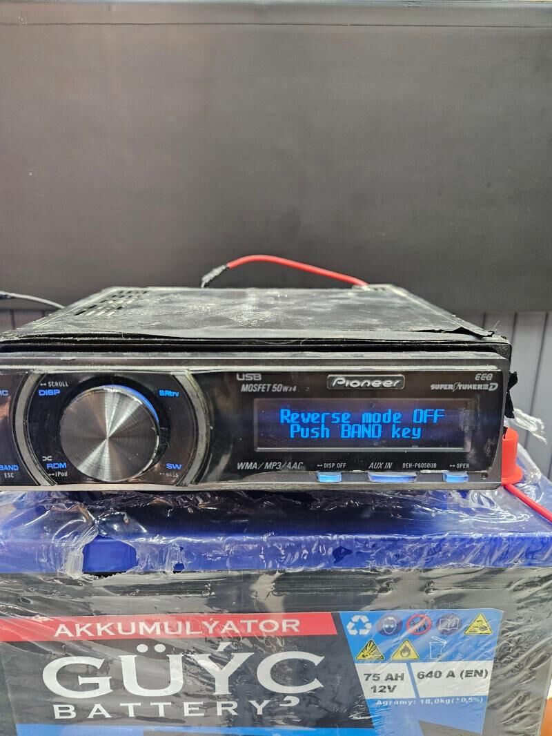 pioner delfin mantafon 1 350 TMT - Türkmenbaşy - img 1