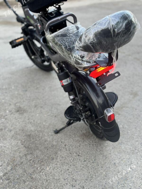 Tokly Tigir - Aşgabat - img 1