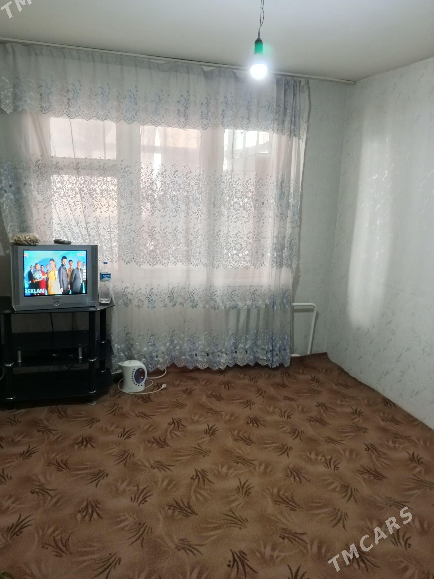 Arenda jay - Mary - img 1