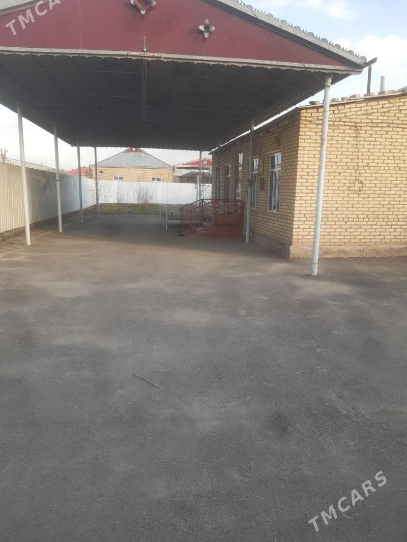 Satlyk  jay - Мары - img 1