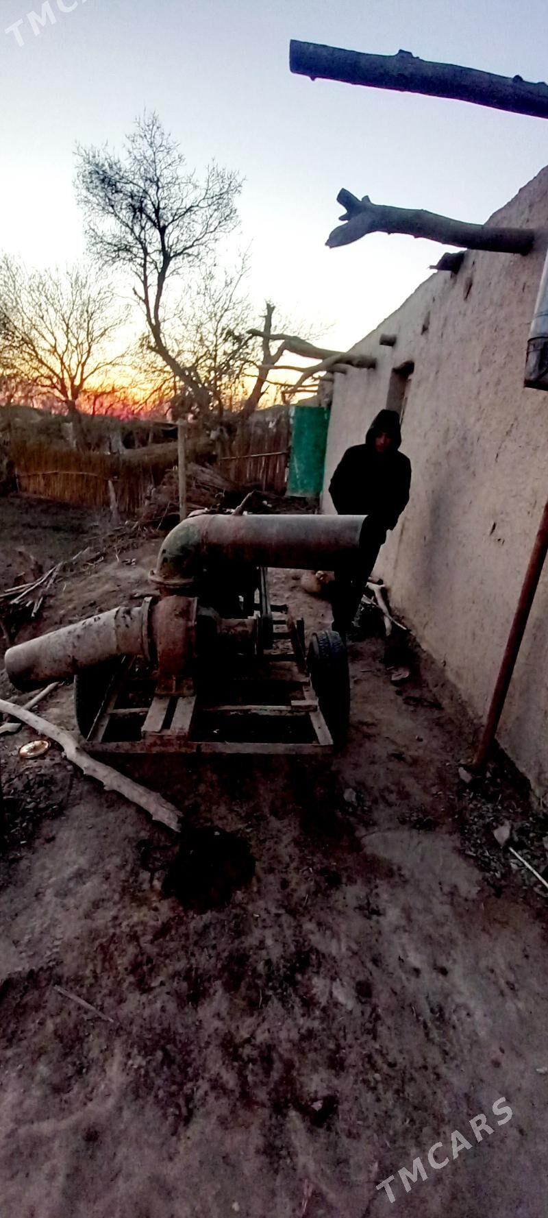 MTZ 80 2012 - 12 000 TMT - Gurbansoltan Eje - img 1