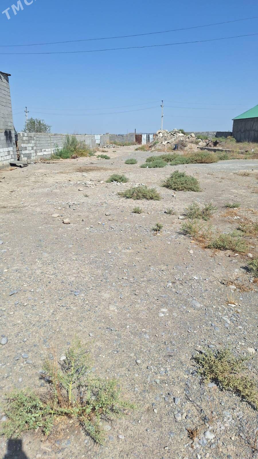 boś melek - Гёкдже - img 1