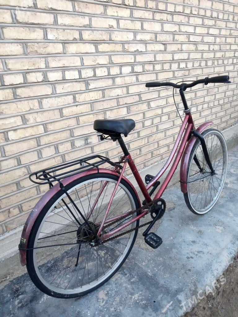 26 lyk tigir - Mary - img 1