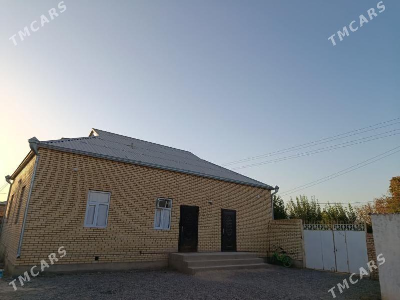 Satlyk howly - Ёлётен - img 1