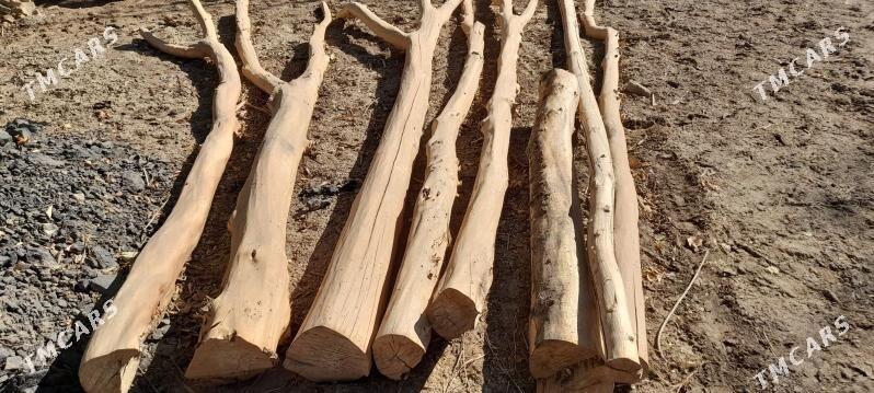 agaç derek - Görogly (Tagta) - img 1