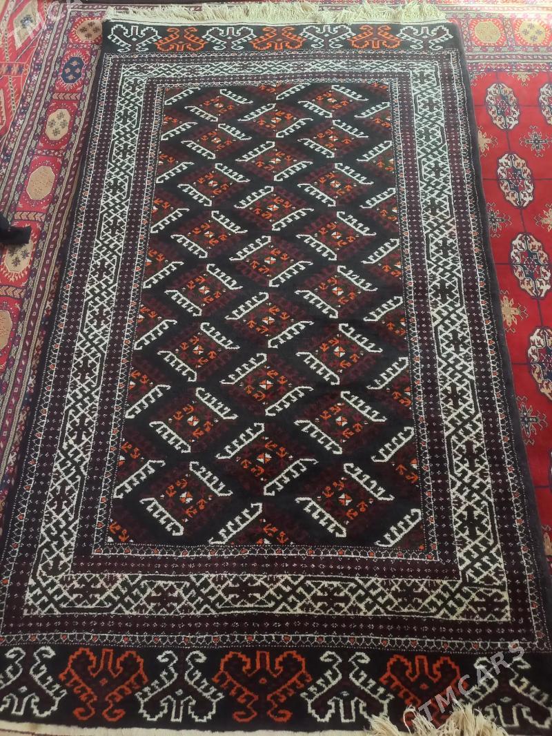 haly - Bereket - img 1