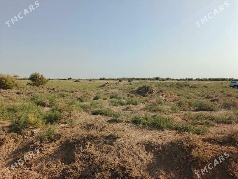 satlyk jay yer - Tejen - img 1