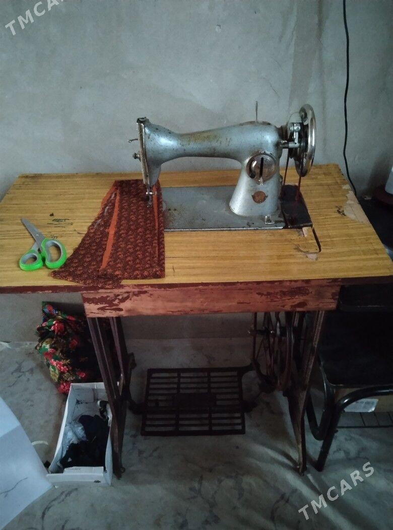 gadymy - Гороглы (Тагта) - img 1