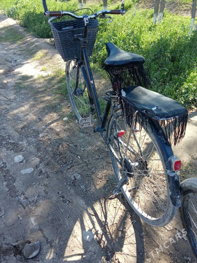 tigir - Халач - img 1