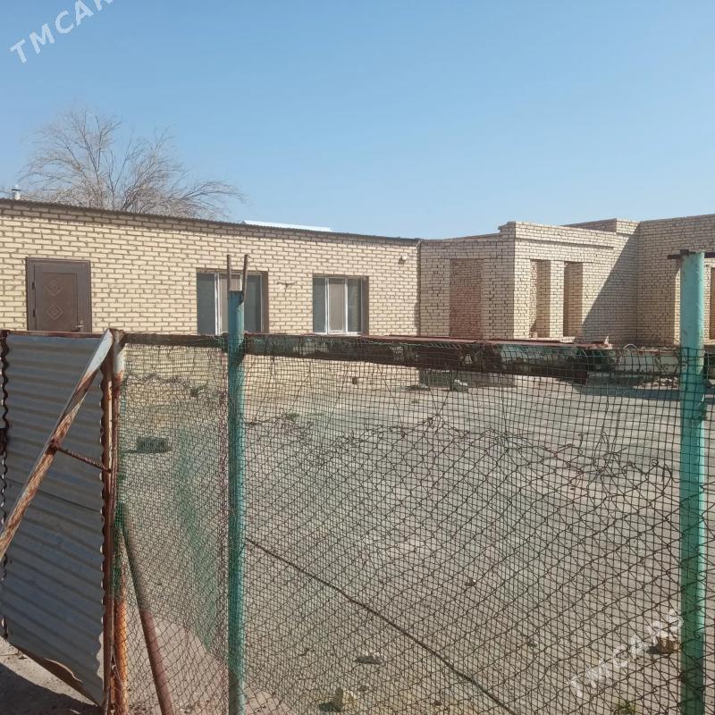 Satlyk howly - Mary - img 1