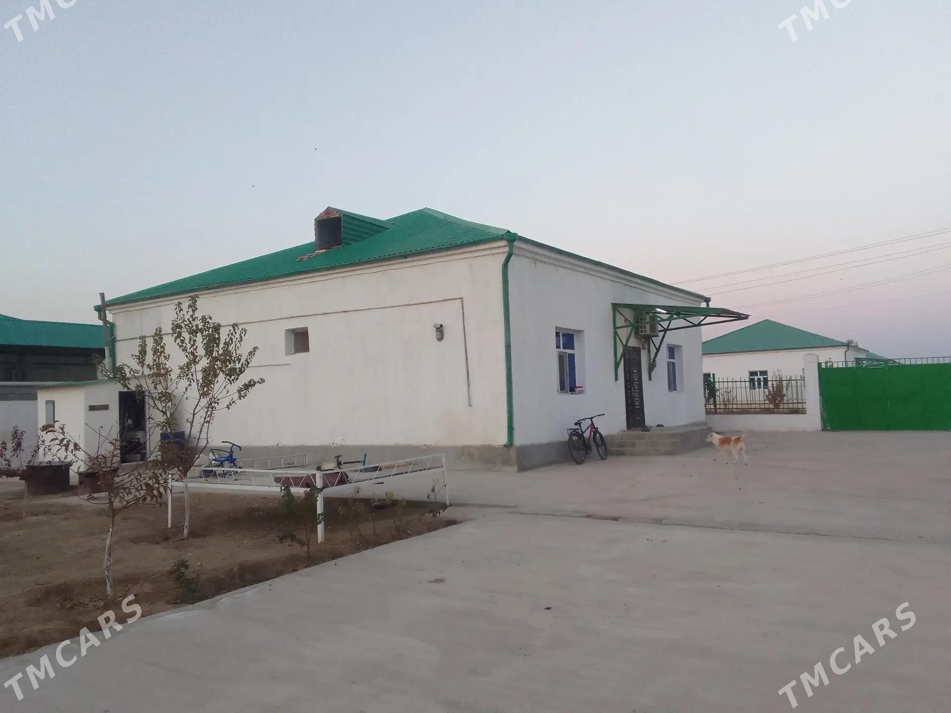 Taze Eyyam satılık jay - Aşgabat - img 1